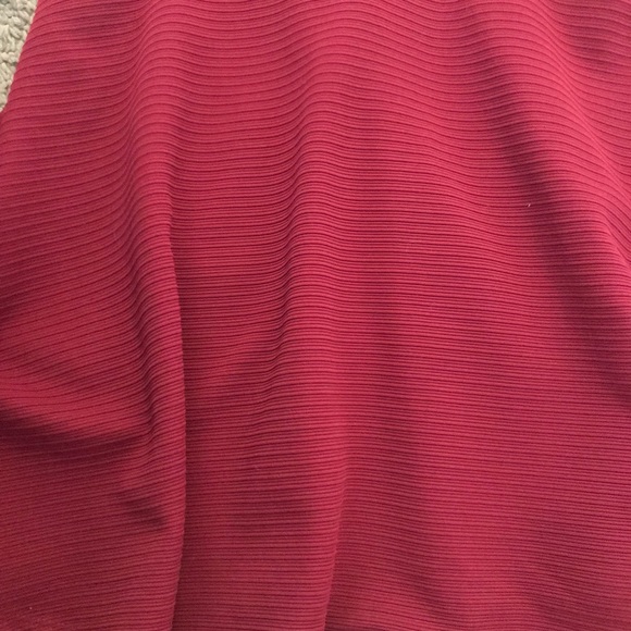 Dark Red & Black Mesh Dress - Picture 5 of 5